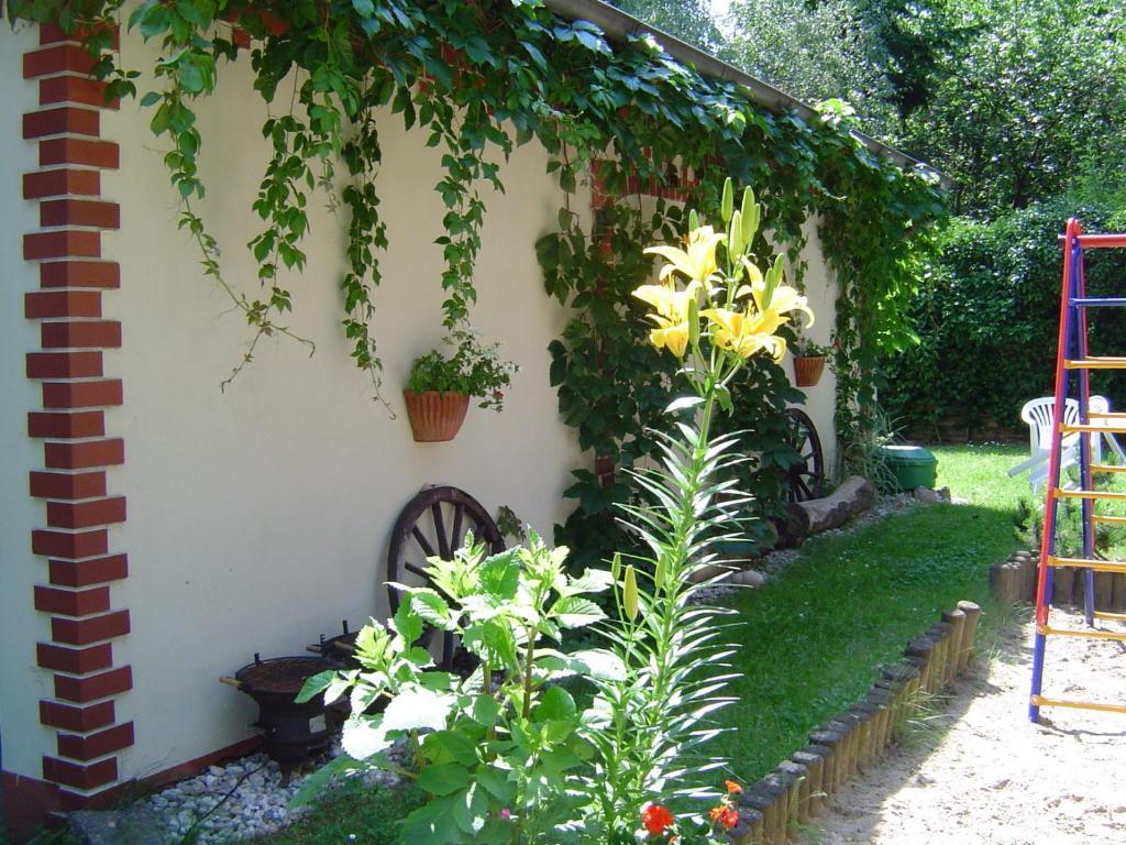 Landhaus Lichterfelde Appartement